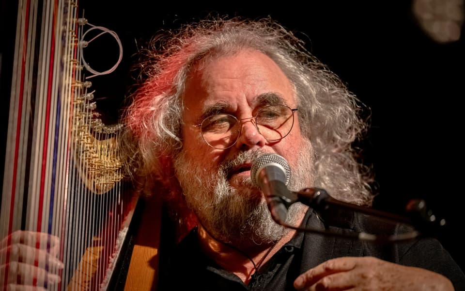 Bearded man plays a harp and sings into a microphone on stage.